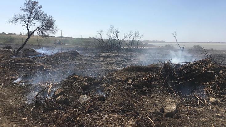  Υπό έλεγχο τέθηκε η πυρκαγιά μεταξύ Τόχνης – Χοιροκοιτίας στην επαρχία Λάρνακας